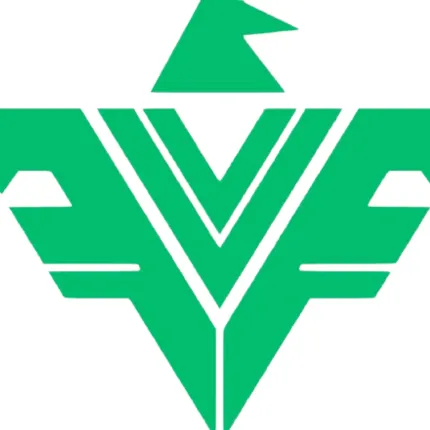 Falcons Vega Logo