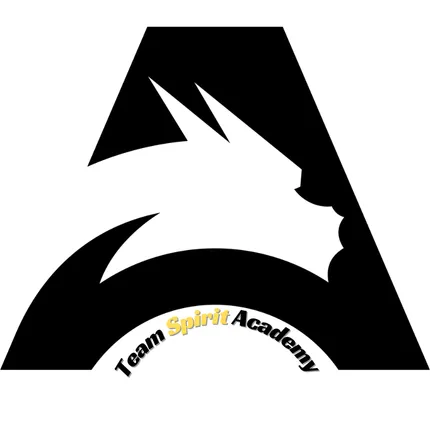 Team Spirit Academy Logo