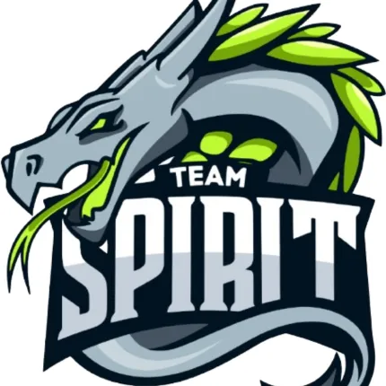 Team Spirit Logo
